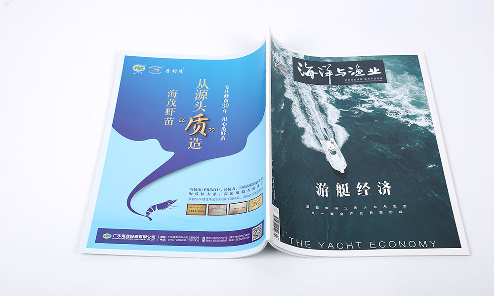 一個畫冊設計如何？
